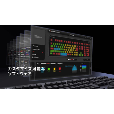REALFORCE R3 Gaming Keyboard Hybrid Numeric Keyless 30g English Layout Black & Dark Gray R3HD13